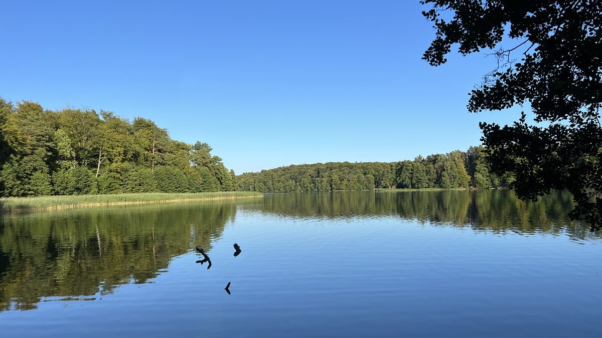 Liepnitzsee in Brandenburg near Berlin