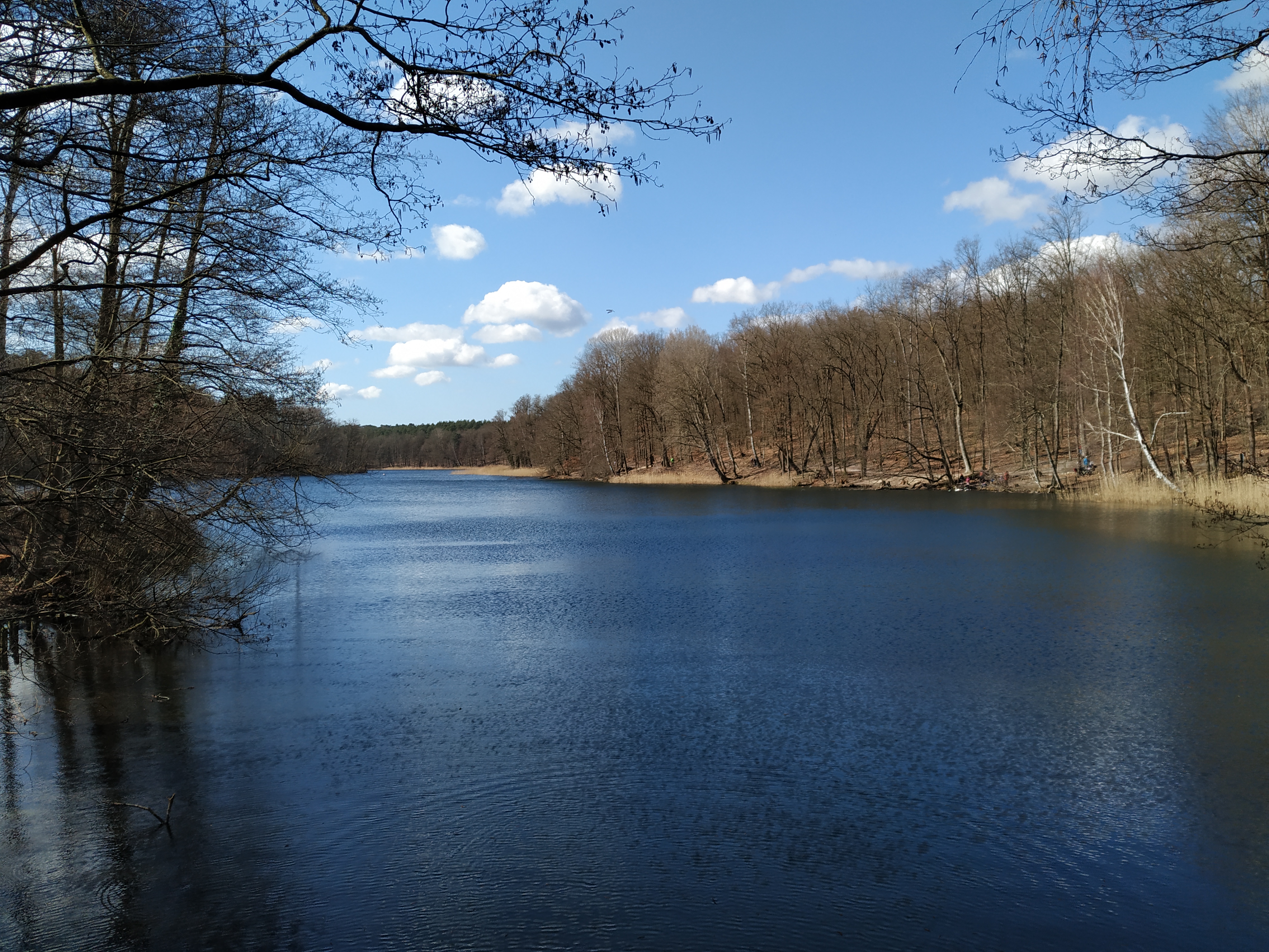 Krumme Lanke Swimming Guide