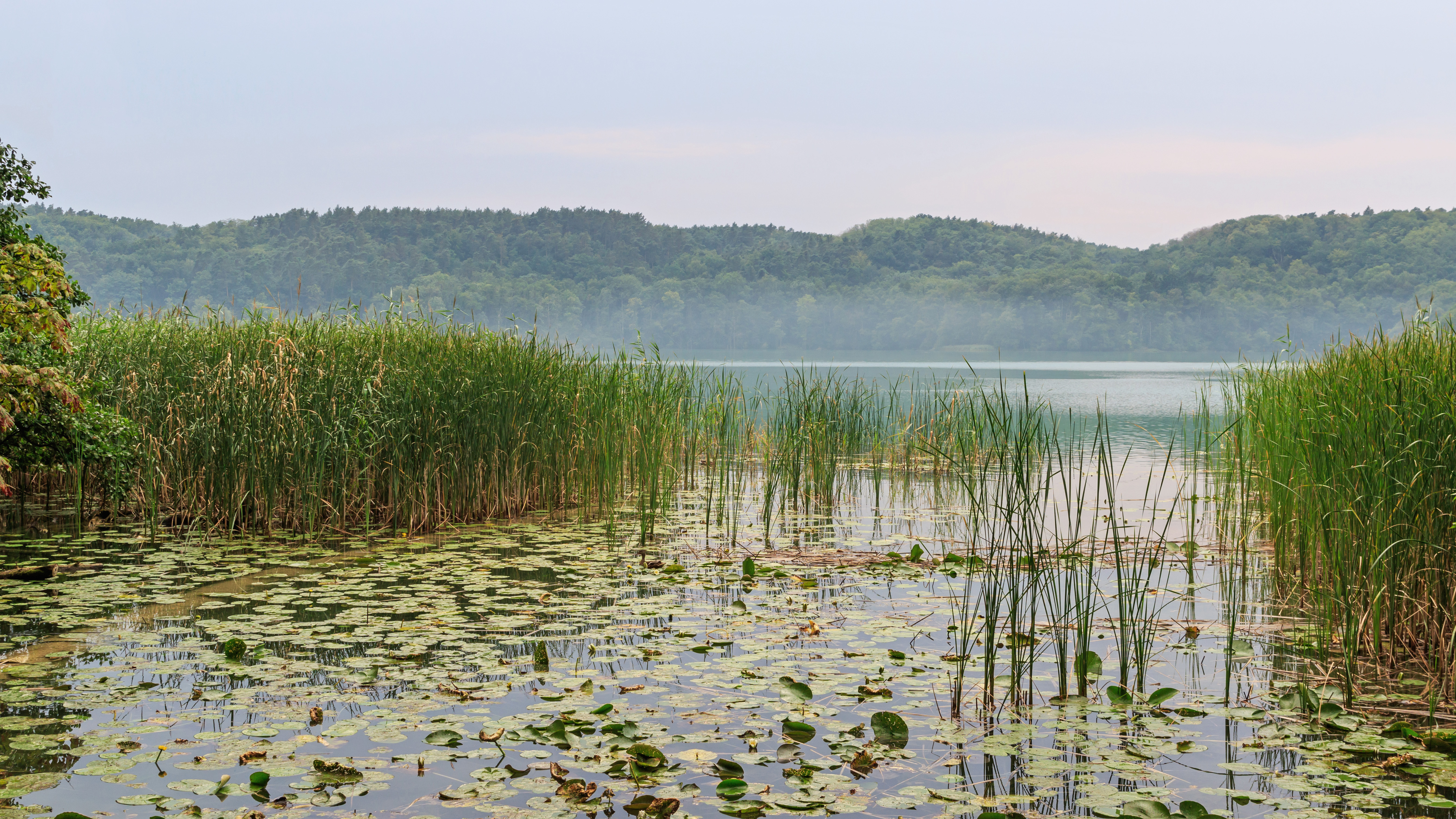 Schermützelsee Swimming Guide