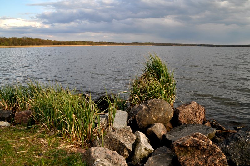 Wolziger See Swimming Guide